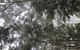 3d/2n Themed Camping Getaway - Private Campgrounds And National Parks - thumb 5