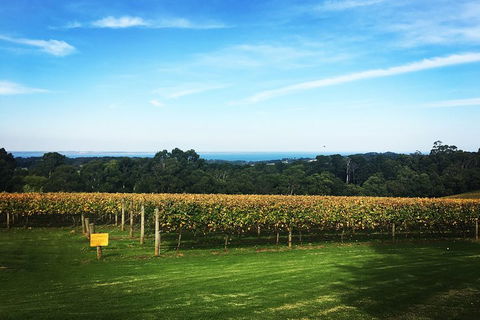 Yarra Valley Private Car Winery Tour And Chocolate.1-7 Passengers One Car Price - Attractions Sydney 0