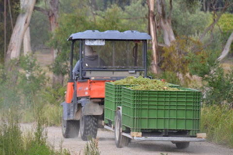 Yarra Valley Private Car Winery Tour And Chocolate.1-7 Passengers One Car Price - Attractions Sydney 1