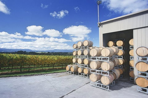 Yarra Valley Private Car Winery Tour And Chocolate.1-7 Passengers One Car Price - Attractions Sydney 2