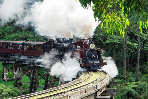 Puffing Billy And Healesville Sanctuary Scenic Tour - Attractions Sydney 1