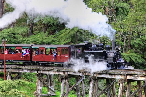 Puffing Billy And Healesville Sanctuary Scenic Tour - Attractions Sydney 2