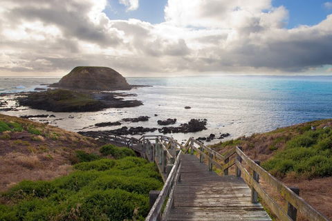 Healesville Sanctuary And Phillip Island Wildlife Bus Tour - Attractions Sydney 5