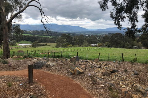 Yarra Valley Wine Tour Inc Lunch With A Glass Of Wine, Tastings And Chocolate - Attractions Sydney 0