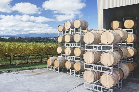 Yarra Valley Wine Tour Inc Lunch With A Glass Of Wine, Tastings And Chocolate - Attractions Sydney 4