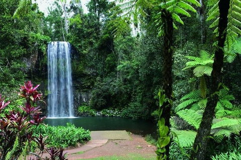 Paronella Park And Millaa Millaa Falls Full-day Tour From Cairns - Attractions Sydney 3