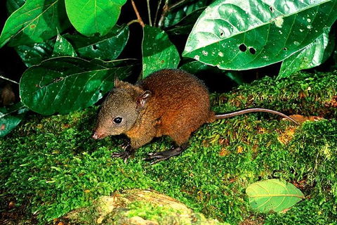 3-Day Small-Group Tour Of North Queensland With Pick Up - Attractions Sydney 0