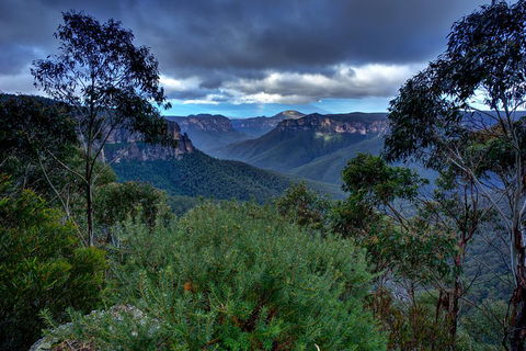 Ultimate Blue Mountains And Wildlife Tour - Attractions Sydney 1