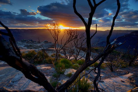 Ultimate Blue Mountains And Wildlife Tour - Attractions Sydney 2