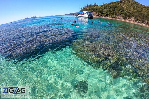 Whitehaven Beach Day Tour With Snorkel In Whitsundays Island - Attractions Sydney 5