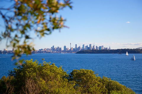 Private Sydney Foreshores And Beaches SUV Tour - Attractions Sydney 5