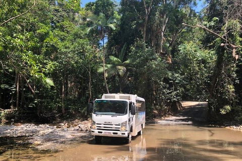 Cairns To Cooktown 4WD Tour - Attractions Sydney 5