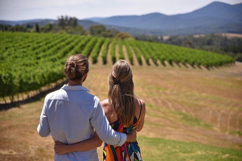 Yarra Valley Wine, Bubbles And Gin Tour! - Attractions Sydney 4
