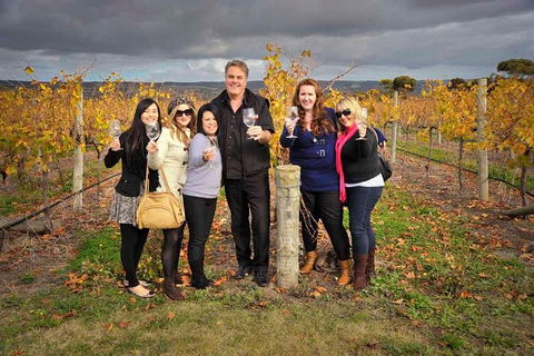 McLaren Vale Winery Small Group Tour With Wine Tasting And Lunch - Attractions Sydney 3