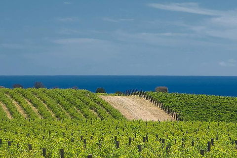 McLaren Vale Winery Small Group Tour With Wine Tasting And Lunch - Attractions Sydney 4
