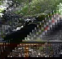 Mt Field and Styx Valley Photography Tour - Attractions Sydney