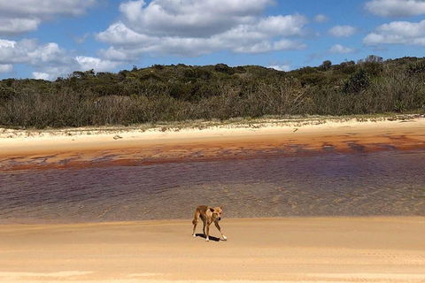Pippies 3 Days 2 Nights Fraser Island Tour - Attractions Sydney 2