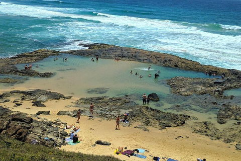 Pippies 3 Days 2 Nights Fraser Island Tour - Attractions Sydney 5