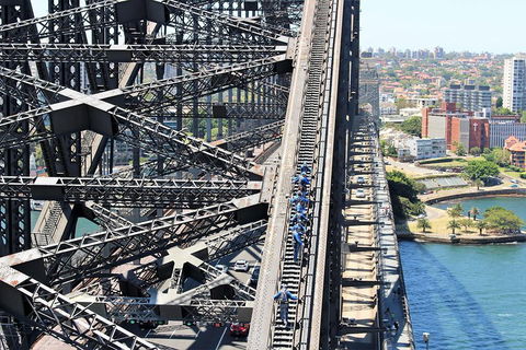Eastern Suburbs Of Sydney, Woolloomooloo And Barangaroo - Attractions Sydney 4