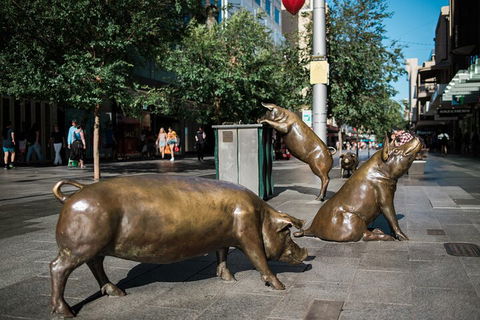 Guided Walking Tour In Adelaide - Attractions Sydney 4