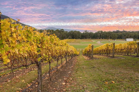 Yarra Valley Boutique Winery Tour From Melbourne - Attractions Sydney 3