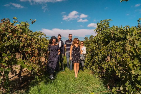 Barossa Valley Private Tour (from 2 To 11 People) - Attractions Sydney 0