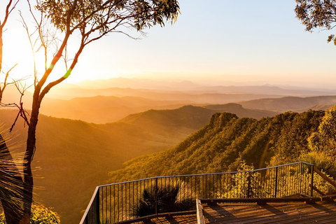 O'Reilly's & Lamington National Park Incl. Alpaca Farm + Vineyard - Attractions Sydney 0