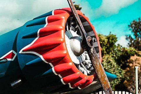 O'Reilly's & Lamington National Park Incl. Alpaca Farm + Vineyard - Attractions Sydney 1