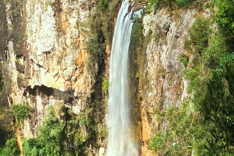 Natural Arch, Rainforest & Volcano Canyon - Private Half Day Tour - Attractions Sydney 2