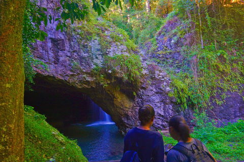 Natural Arch, Rainforest & Volcano Canyon - Private Half Day Tour - Attractions Sydney 4