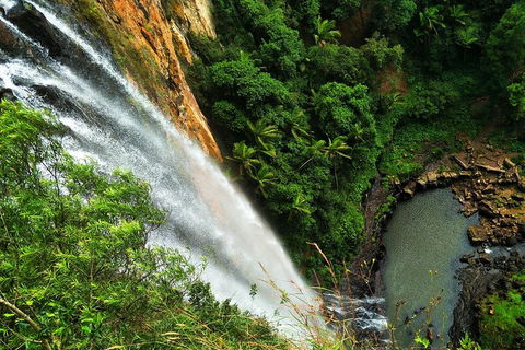 Natural Arch, Rainforest & Volcano Canyon - Private Half Day Tour - Attractions Sydney 5