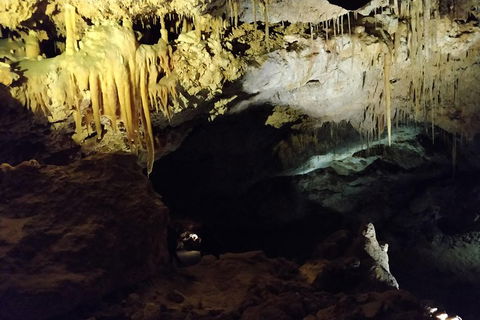 The Pinnacle Adventure Tour - Attractions Sydney 2