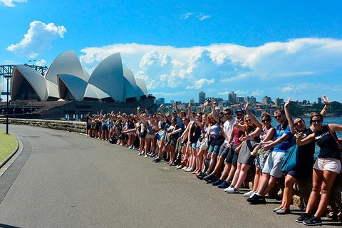 7-Day Tour In Sydney With Airport Pickup - Attractions Sydney 3
