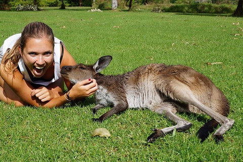 7-Day Tour In Sydney With Airport Pickup - Attractions Sydney 4