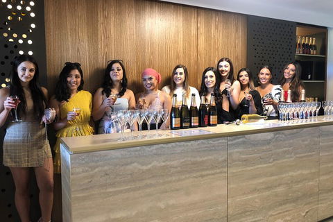 Yarra Valley Public Winery Tours - Attractions Sydney 0