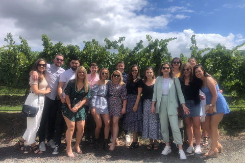 Yarra Valley Public Winery Tours - Attractions Sydney 3