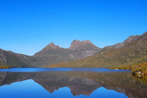 Tasmania 6 Day 'Tour In Circle' - Attractions Sydney 3