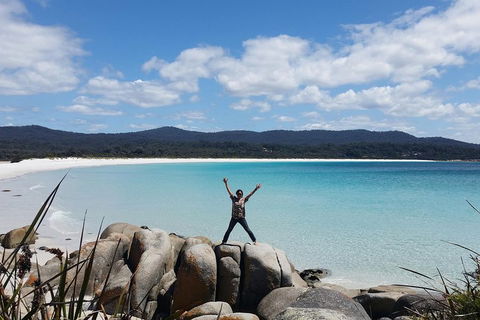 Tasmania 4 Day East Coast + Launceston - Attractions Sydney 1
