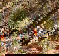 Half-Day Yanchep Ghost House Wilderness Guided Hike Tour - Attractions Sydney