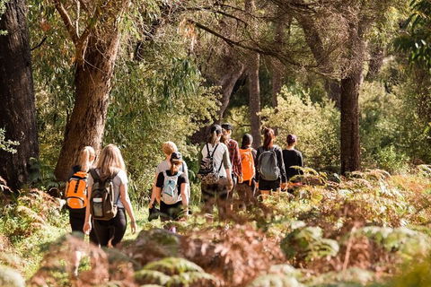 Half-Day Yanchep Ghost House Wilderness Guided Hike Tour - Attractions Sydney 0