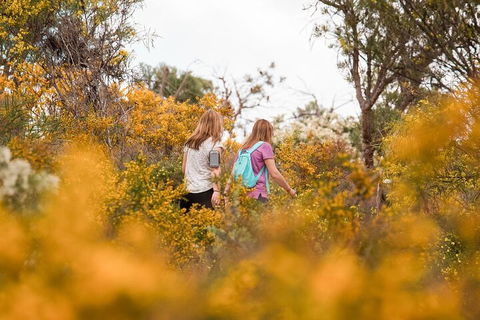 Half-Day Yanchep Ghost House Wilderness Guided Hike Tour - Attractions Sydney 4