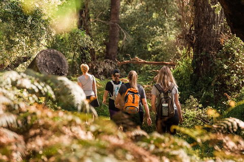 Half-Day Yanchep Ghost House Wilderness Guided Hike Tour - Attractions Sydney 5