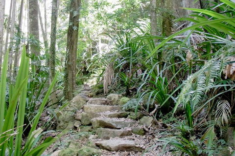 Byron Bay Combo: Minyon Falls And Hinterland Day Trip And Learn To Surf At Byron Bay - Attractions Sydney 3