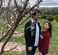 Private Yarra Valley And Puffing Billy Tour - Attractions Sydney