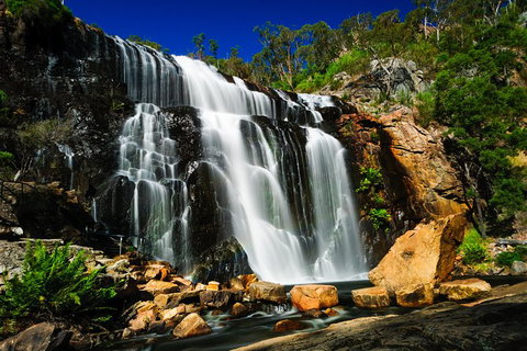 Private Grampians Day Tour - Attractions Sydney 1