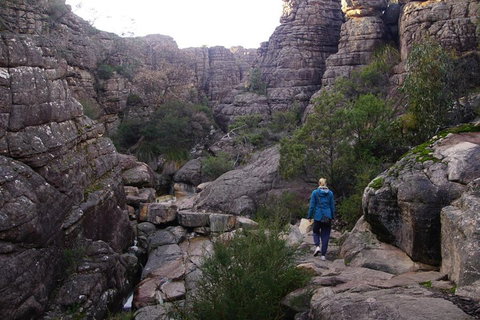 Private Grampians Day Tour - Attractions Sydney 3