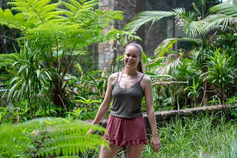 Full-Day Guided Hinterland Adventure Tour In Queensland - Attractions Sydney 0