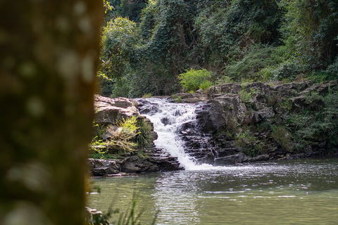 Full-Day Guided Hinterland Adventure Tour In Queensland - Attractions Sydney 1
