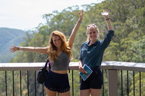 Full-Day Guided Hinterland Adventure Tour In Queensland - Attractions Sydney 3