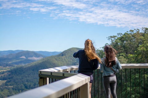 Full-Day Guided Hinterland Adventure Tour In Queensland - Attractions Sydney 5